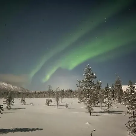 Log-house At Resort. فيلة *