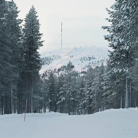 Log-house At Resort. فيلة Pyhätunturi
