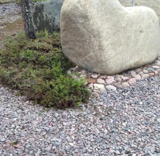 Log-house At Resort. *