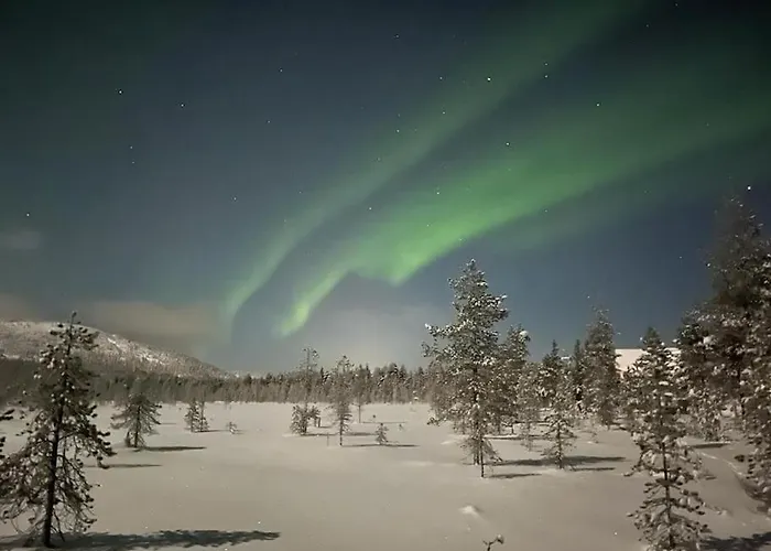 Log-house At Resort. Villa *