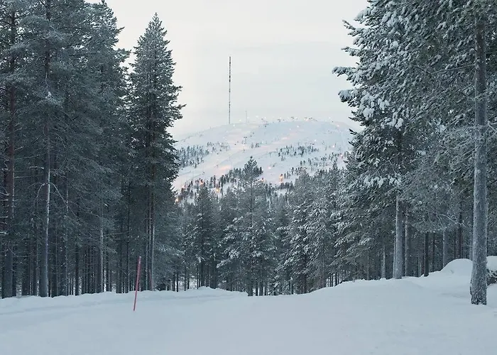 Log-house At Resort. فيلة Pyhätunturi