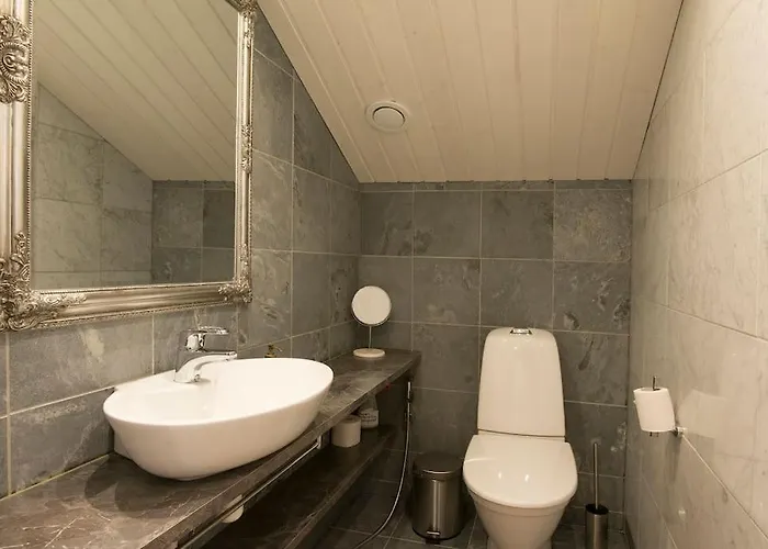 Log-house At Resort. Villa